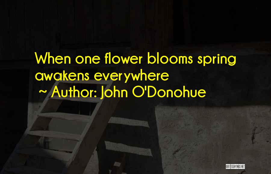 John O'Donohue Quotes: When One Flower Blooms Spring Awakens Everywhere