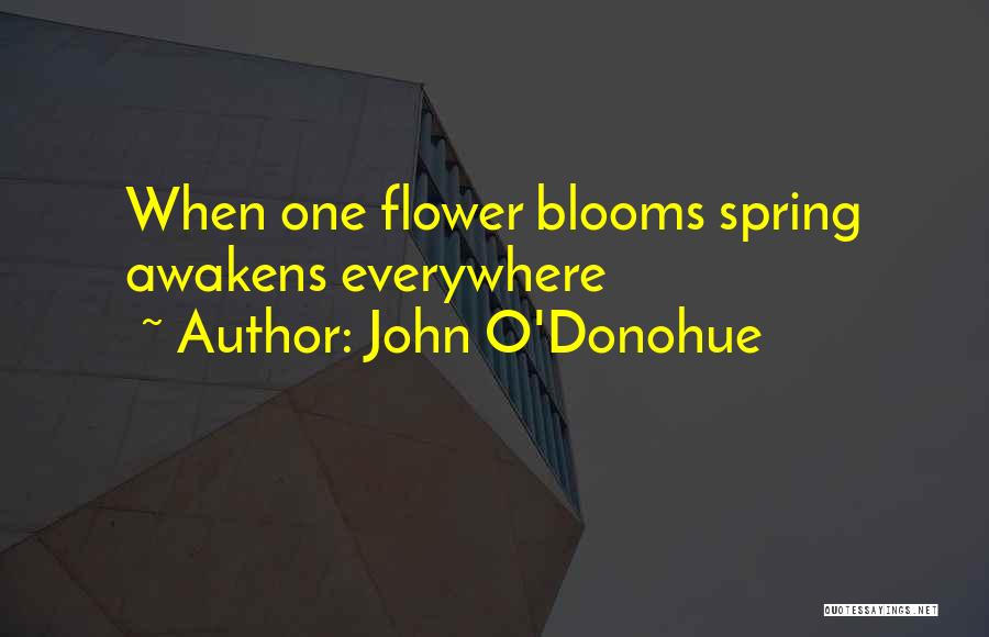 John O'Donohue Quotes: When One Flower Blooms Spring Awakens Everywhere