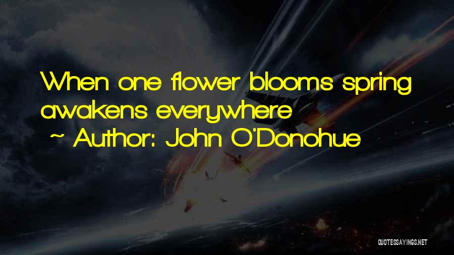 John O'Donohue Quotes: When One Flower Blooms Spring Awakens Everywhere