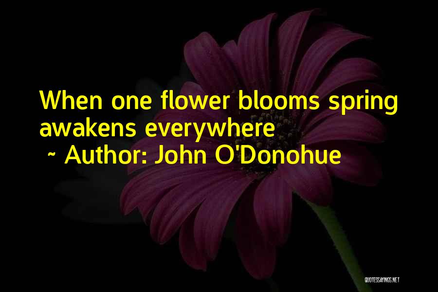 John O'Donohue Quotes: When One Flower Blooms Spring Awakens Everywhere