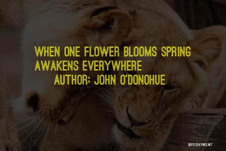 John O'Donohue Quotes: When One Flower Blooms Spring Awakens Everywhere