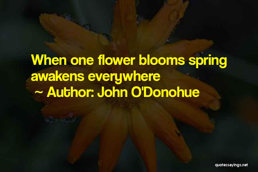 John O'Donohue Quotes: When One Flower Blooms Spring Awakens Everywhere