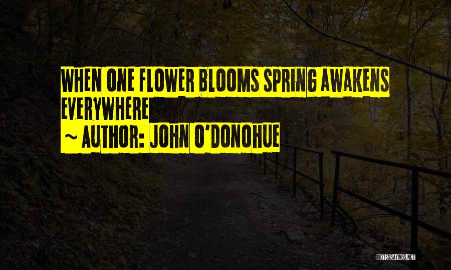 John O'Donohue Quotes: When One Flower Blooms Spring Awakens Everywhere