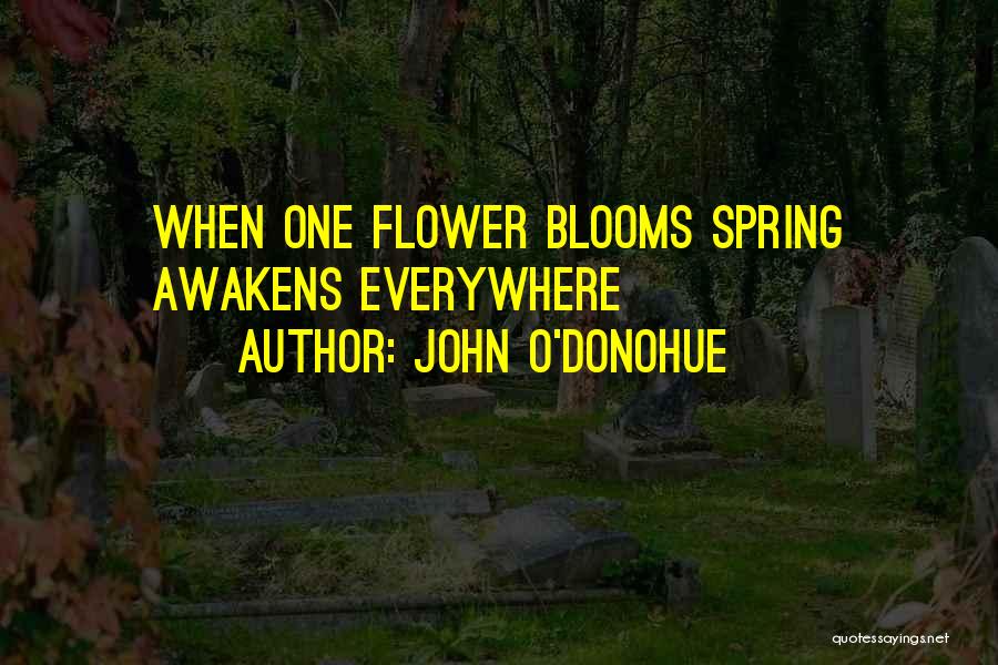 John O'Donohue Quotes: When One Flower Blooms Spring Awakens Everywhere