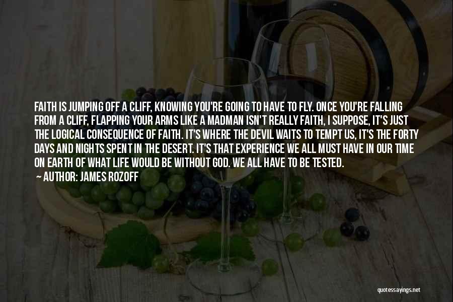 James Rozoff Quotes: Faith Is Jumping Off A Cliff, Knowing You're Going To Have To Fly. Once You're Falling From A Cliff, Flapping