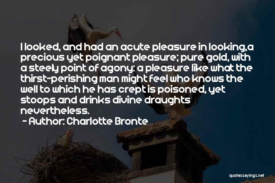 Charlotte Bronte Quotes: I Looked, And Had An Acute Pleasure In Looking,a Precious Yet Poignant Pleasure; Pure Gold, With A Steely Point Of