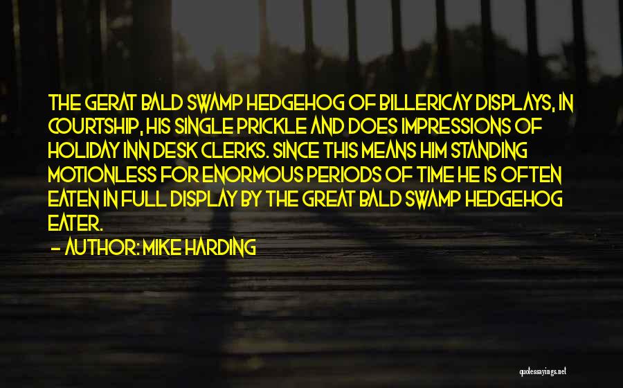 Mike Harding Quotes: The Gerat Bald Swamp Hedgehog Of Billericay Displays, In Courtship, His Single Prickle And Does Impressions Of Holiday Inn Desk