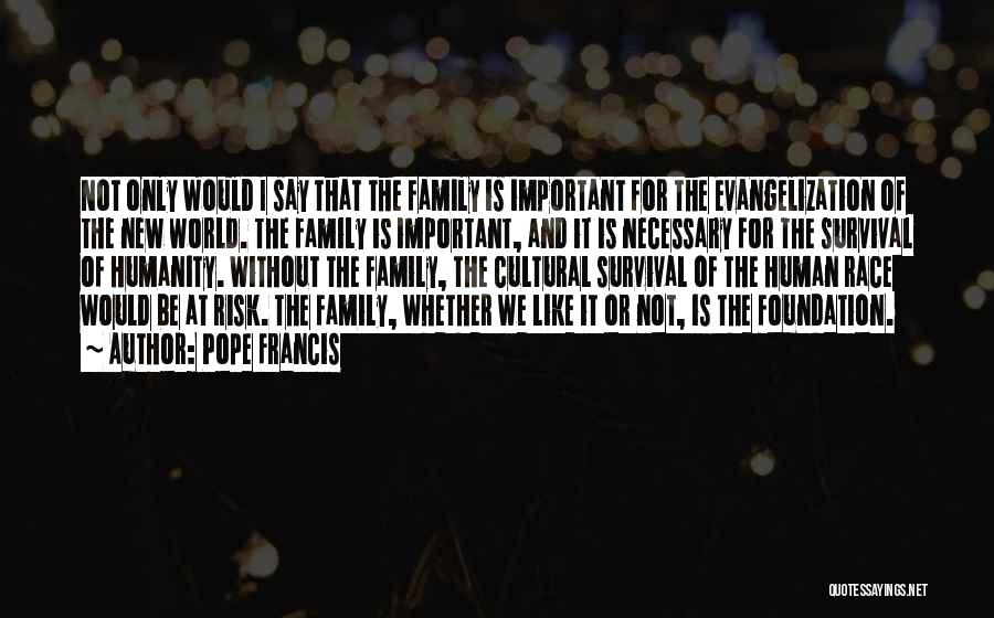 Pope Francis Quotes: Not Only Would I Say That The Family Is Important For The Evangelization Of The New World. The Family Is