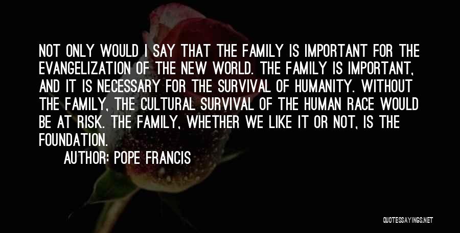 Pope Francis Quotes: Not Only Would I Say That The Family Is Important For The Evangelization Of The New World. The Family Is