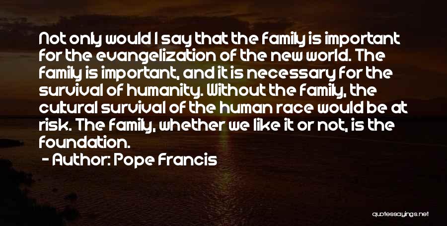 Pope Francis Quotes: Not Only Would I Say That The Family Is Important For The Evangelization Of The New World. The Family Is