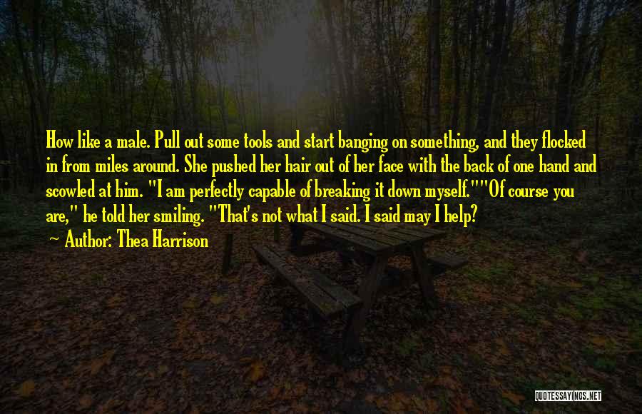 Thea Harrison Quotes: How Like A Male. Pull Out Some Tools And Start Banging On Something, And They Flocked In From Miles Around.