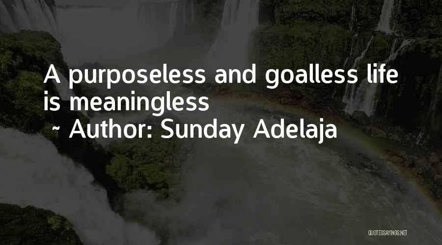 Sunday Adelaja Quotes: A Purposeless And Goalless Life Is Meaningless