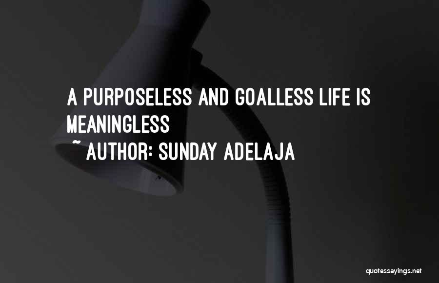 Sunday Adelaja Quotes: A Purposeless And Goalless Life Is Meaningless