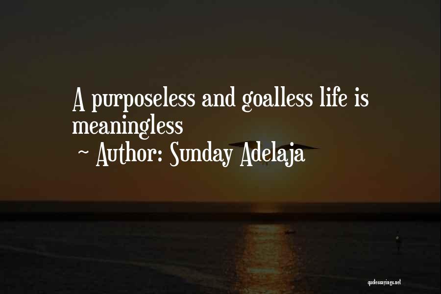 Sunday Adelaja Quotes: A Purposeless And Goalless Life Is Meaningless