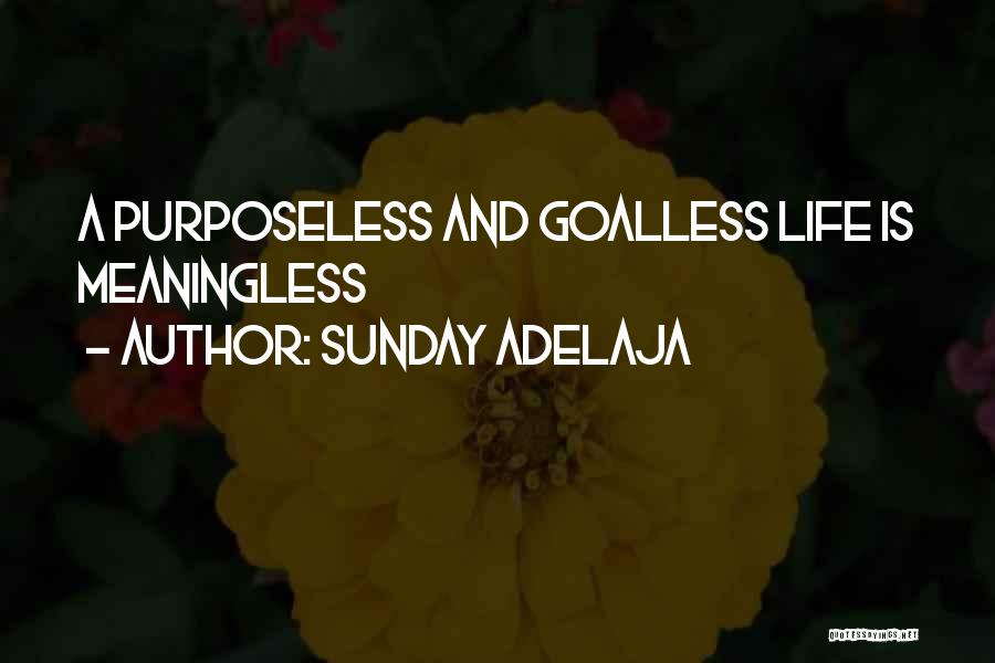 Sunday Adelaja Quotes: A Purposeless And Goalless Life Is Meaningless