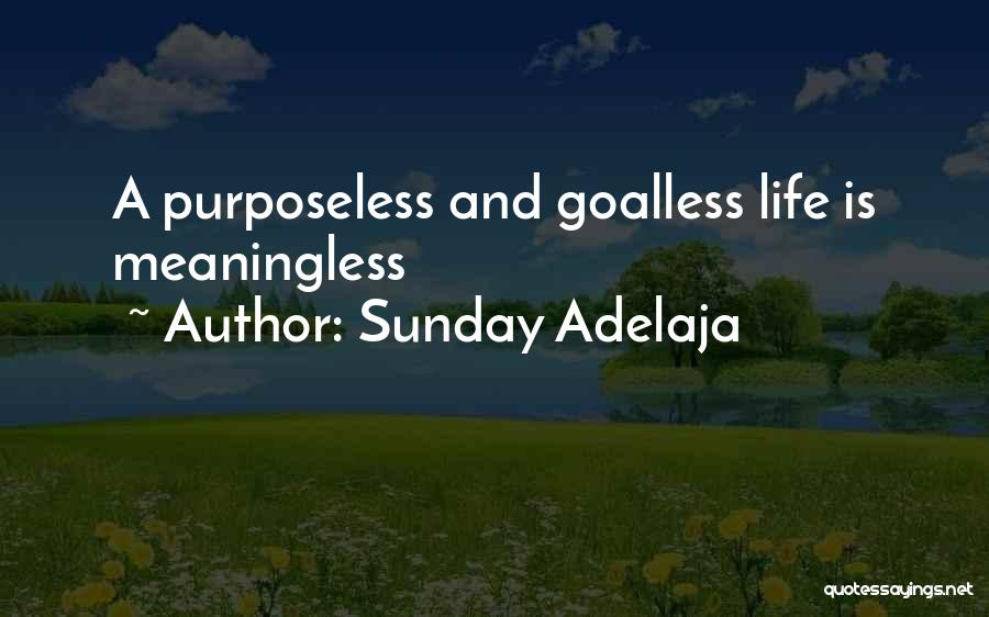 Sunday Adelaja Quotes: A Purposeless And Goalless Life Is Meaningless