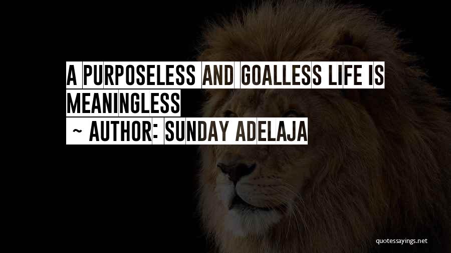 Sunday Adelaja Quotes: A Purposeless And Goalless Life Is Meaningless