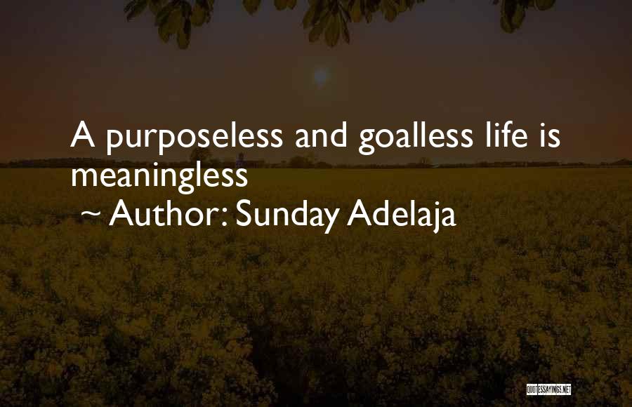 Sunday Adelaja Quotes: A Purposeless And Goalless Life Is Meaningless