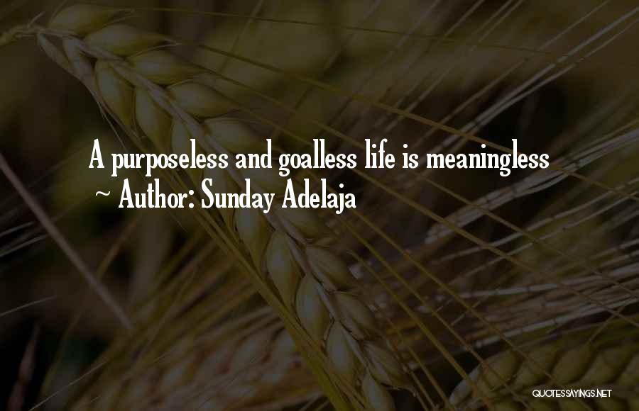 Sunday Adelaja Quotes: A Purposeless And Goalless Life Is Meaningless