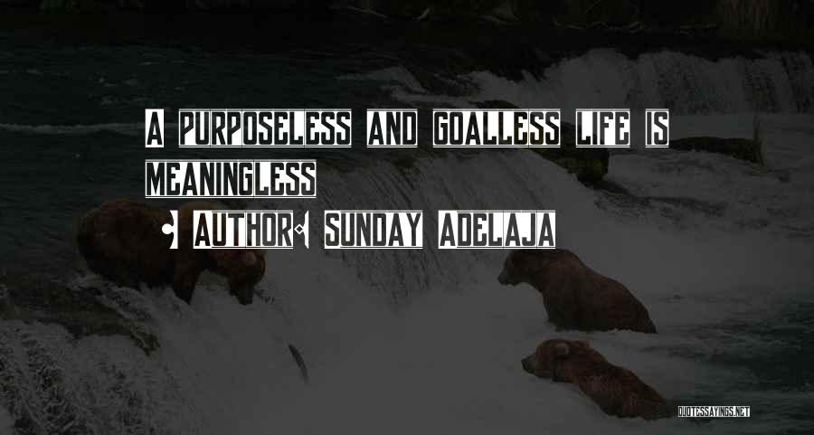 Sunday Adelaja Quotes: A Purposeless And Goalless Life Is Meaningless