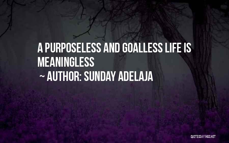 Sunday Adelaja Quotes: A Purposeless And Goalless Life Is Meaningless