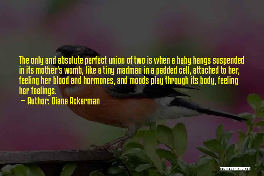 Diane Ackerman Quotes: The Only And Absolute Perfect Union Of Two Is When A Baby Hangs Suspended In Its Mother's Womb, Like A