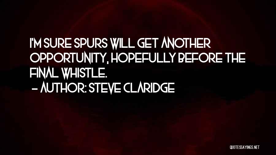 Steve Claridge Quotes: I'm Sure Spurs Will Get Another Opportunity, Hopefully Before The Final Whistle.