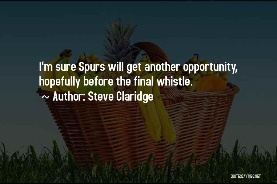 Steve Claridge Quotes: I'm Sure Spurs Will Get Another Opportunity, Hopefully Before The Final Whistle.