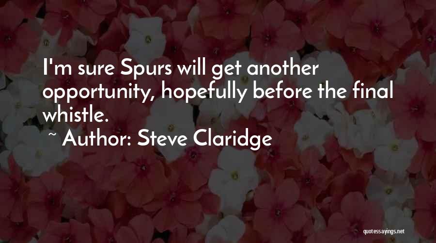 Steve Claridge Quotes: I'm Sure Spurs Will Get Another Opportunity, Hopefully Before The Final Whistle.