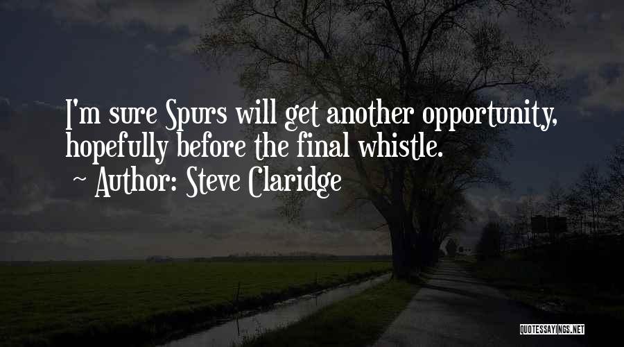 Steve Claridge Quotes: I'm Sure Spurs Will Get Another Opportunity, Hopefully Before The Final Whistle.