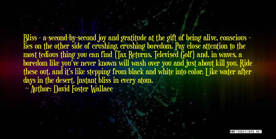 David Foster Wallace Quotes: Bliss - A-second-by-second Joy And Gratitude At The Gift Of Being Alive, Conscious - Lies On The Other Side Of