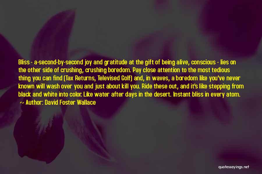 David Foster Wallace Quotes: Bliss - A-second-by-second Joy And Gratitude At The Gift Of Being Alive, Conscious - Lies On The Other Side Of