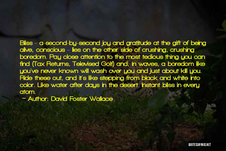 David Foster Wallace Quotes: Bliss - A-second-by-second Joy And Gratitude At The Gift Of Being Alive, Conscious - Lies On The Other Side Of