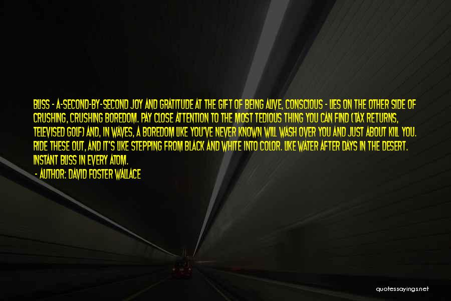 David Foster Wallace Quotes: Bliss - A-second-by-second Joy And Gratitude At The Gift Of Being Alive, Conscious - Lies On The Other Side Of