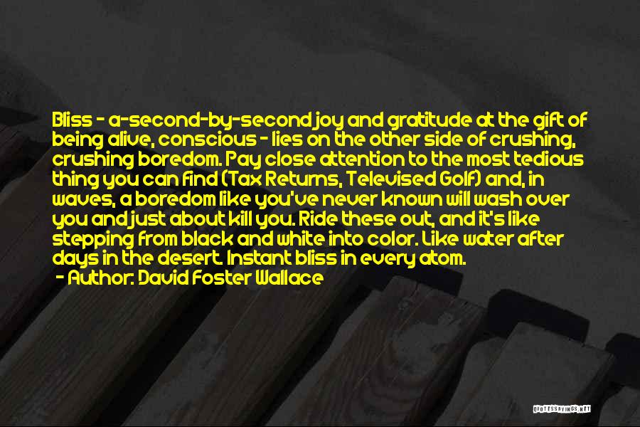 David Foster Wallace Quotes: Bliss - A-second-by-second Joy And Gratitude At The Gift Of Being Alive, Conscious - Lies On The Other Side Of