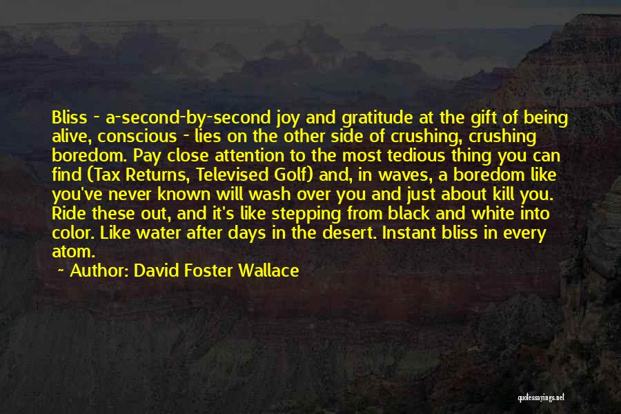 David Foster Wallace Quotes: Bliss - A-second-by-second Joy And Gratitude At The Gift Of Being Alive, Conscious - Lies On The Other Side Of