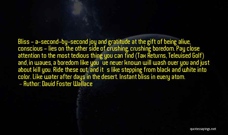 David Foster Wallace Quotes: Bliss - A-second-by-second Joy And Gratitude At The Gift Of Being Alive, Conscious - Lies On The Other Side Of
