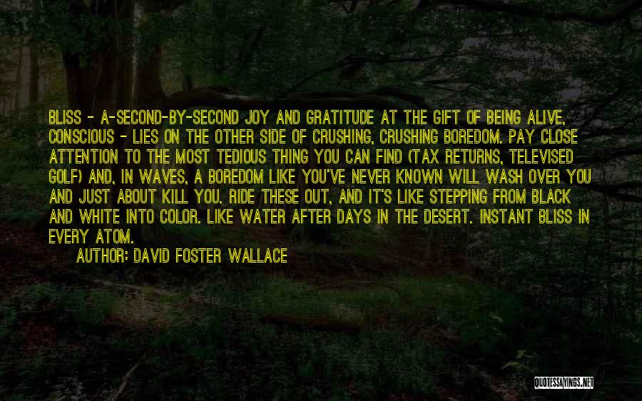 David Foster Wallace Quotes: Bliss - A-second-by-second Joy And Gratitude At The Gift Of Being Alive, Conscious - Lies On The Other Side Of