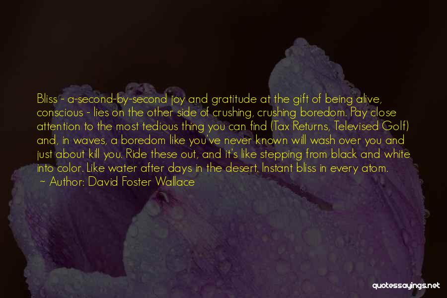 David Foster Wallace Quotes: Bliss - A-second-by-second Joy And Gratitude At The Gift Of Being Alive, Conscious - Lies On The Other Side Of