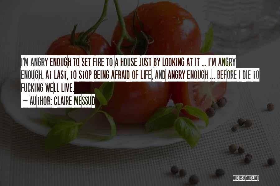 Claire Messud Quotes: I'm Angry Enough To Set Fire To A House Just By Looking At It ... I'm Angry Enough, At Last,