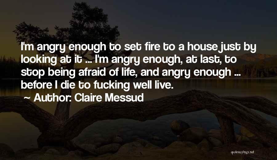 Claire Messud Quotes: I'm Angry Enough To Set Fire To A House Just By Looking At It ... I'm Angry Enough, At Last,