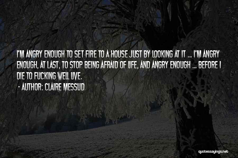 Claire Messud Quotes: I'm Angry Enough To Set Fire To A House Just By Looking At It ... I'm Angry Enough, At Last,