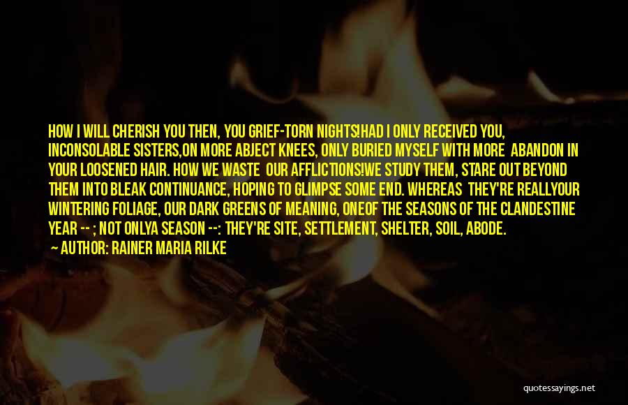 Rainer Maria Rilke Quotes: How I Will Cherish You Then, You Grief-torn Nights!had I Only Received You, Inconsolable Sisters,on More Abject Knees, Only Buried