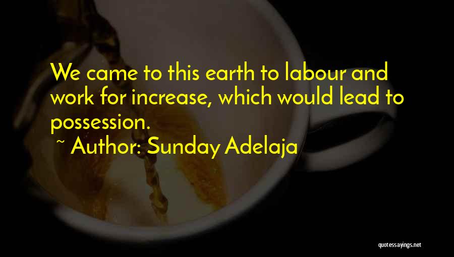 Sunday Adelaja Quotes: We Came To This Earth To Labour And Work For Increase, Which Would Lead To Possession.