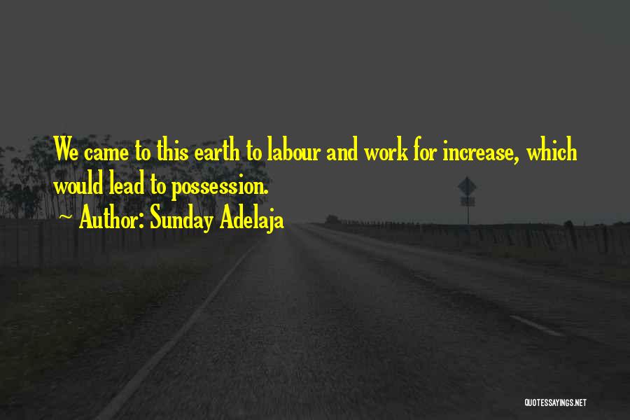 Sunday Adelaja Quotes: We Came To This Earth To Labour And Work For Increase, Which Would Lead To Possession.
