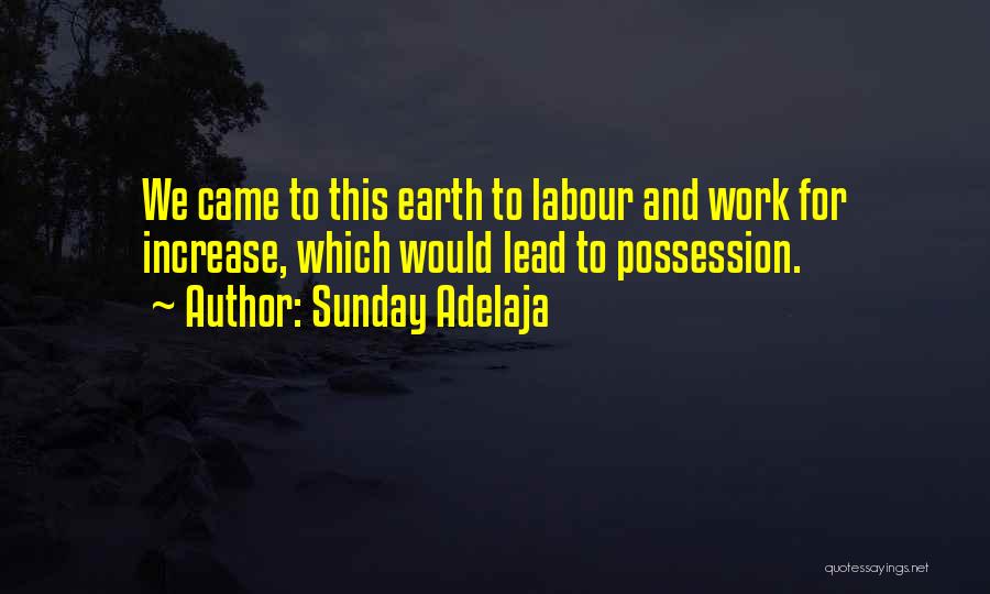 Sunday Adelaja Quotes: We Came To This Earth To Labour And Work For Increase, Which Would Lead To Possession.
