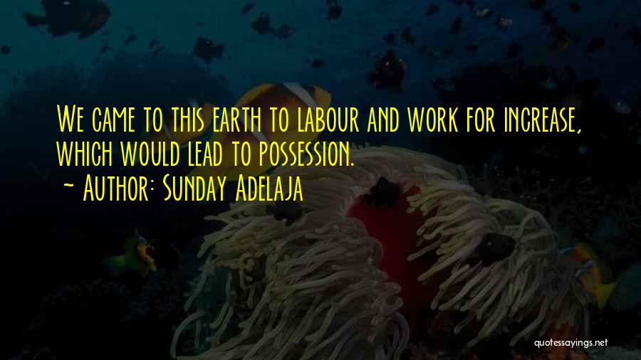 Sunday Adelaja Quotes: We Came To This Earth To Labour And Work For Increase, Which Would Lead To Possession.
