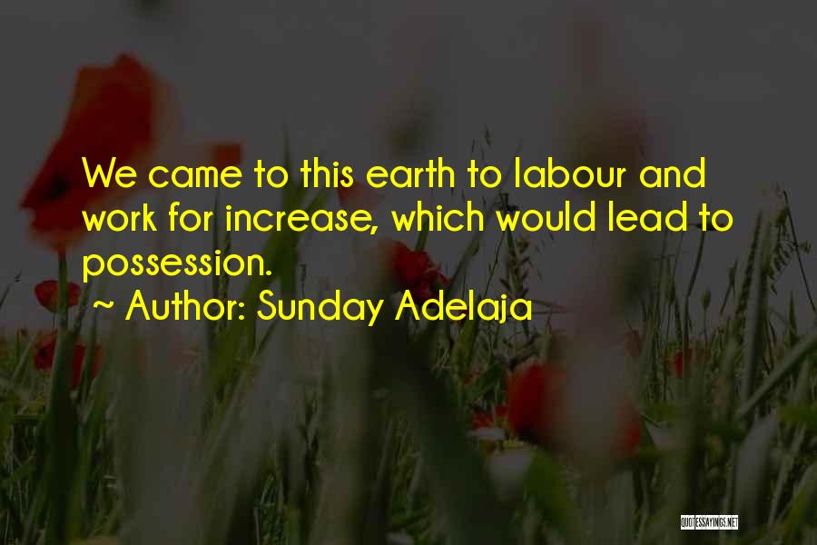 Sunday Adelaja Quotes: We Came To This Earth To Labour And Work For Increase, Which Would Lead To Possession.