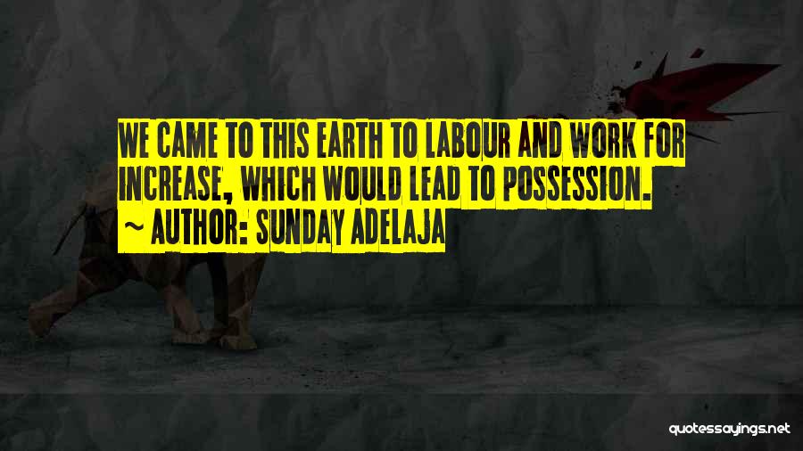 Sunday Adelaja Quotes: We Came To This Earth To Labour And Work For Increase, Which Would Lead To Possession.