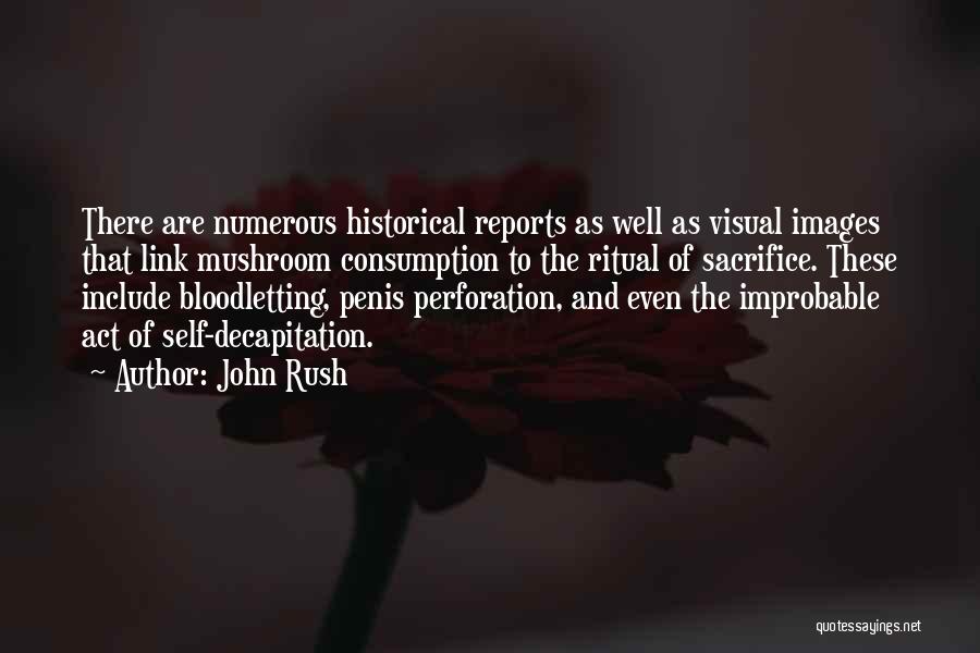 John Rush Quotes: There Are Numerous Historical Reports As Well As Visual Images That Link Mushroom Consumption To The Ritual Of Sacrifice. These